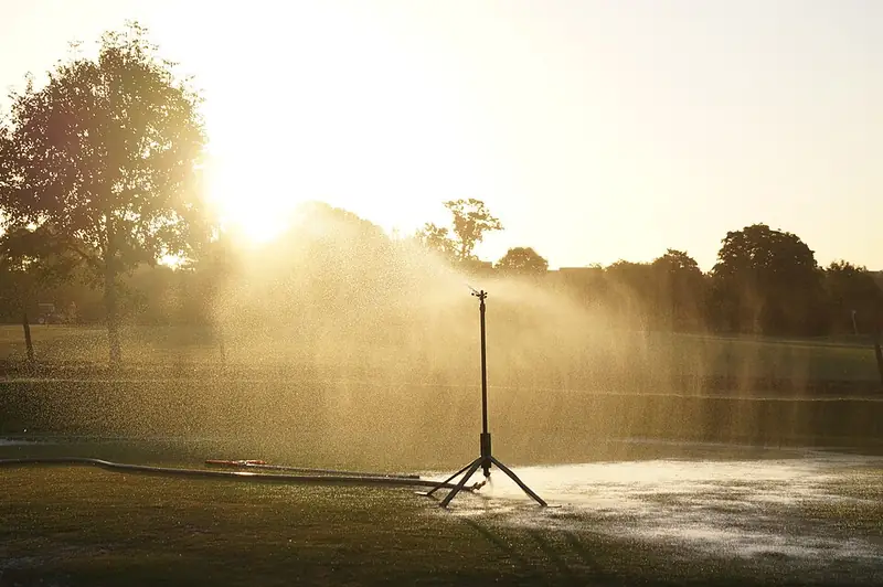 Sprinkler watering a lawn at golden hour