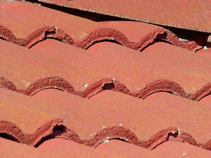 Close-up of red clay barrel roof tiles